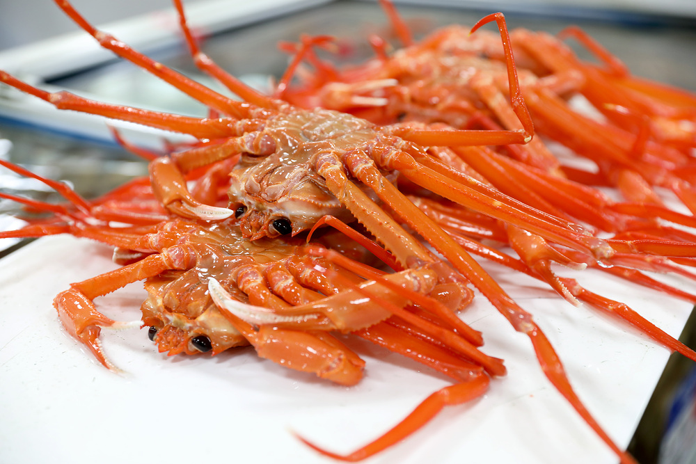 구룡포 대게 이미지