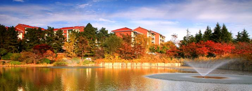 池谷 迎日台&青浦台 林荫道