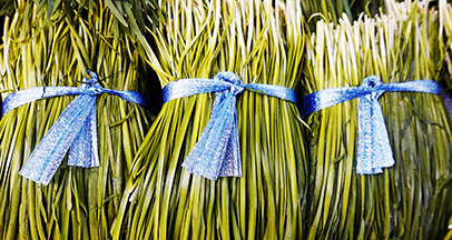 青林（チョンリム）のニラ