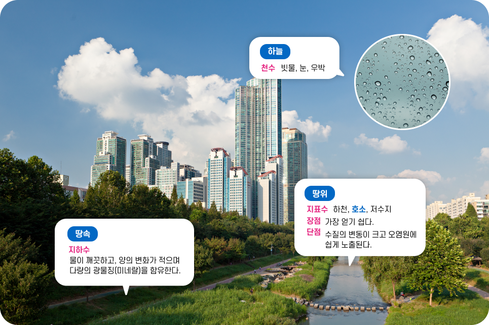 처리계통도 이미지